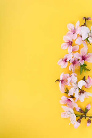 Floral pattern made of pink and beige rosesの写真素材