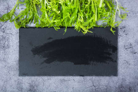 Various green leafy vegetables in row on white background. Top view point.