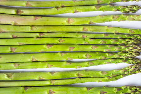 green asparagus isolated on white
