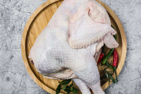 Raw chicken with spices and cilantro ready to be prepared. Copy space background.の写真素材