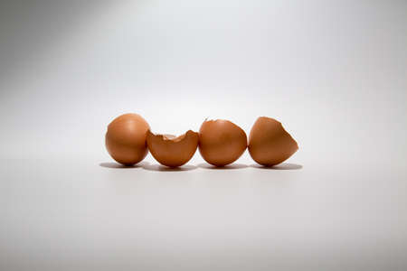 Broken chicken eggshells in line isolated on white background with copy space