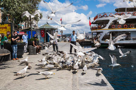 ISTANBUL / TURKEY - 07.17.2020: Turkish people feeding a covey of seagulls in Karakoyのeditorial素材