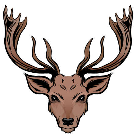 Vector illustration of a deer head on white backgroundのイラスト素材