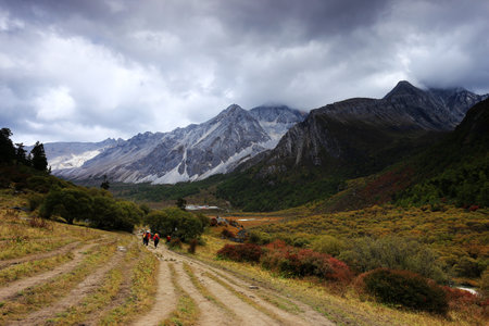 Landscape view of Mt Cook National Park, South Island, New Zealandの写真素材