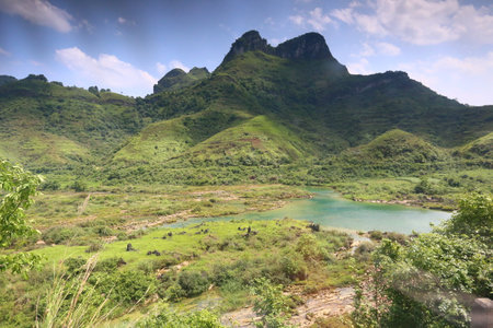 Mountain landscape with lake and trees in the foreground, South Africa