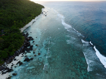 Aerial view of tropical beach in Seychelles, Mahe