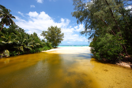 Tropical beach at Seychelles, Mahe islandの写真素材
