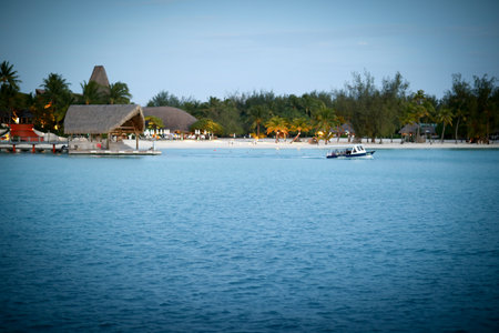 Tropical beach with palm trees, white sand and blue water.