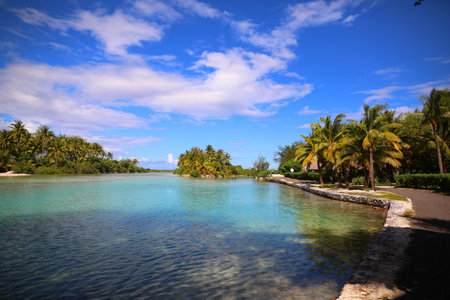 Beautiful tropical beach with palm trees at Seychelles, Maheの写真素材