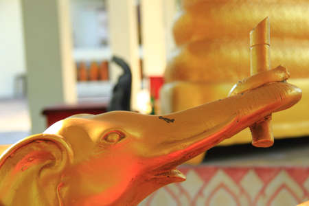 Golden elephantの写真素材