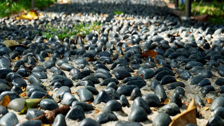 Round smooth stones on the floorの写真素材