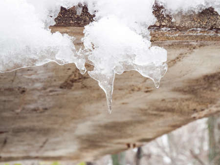 beautiful winter iciclesの写真素材