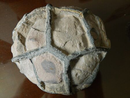 PIEDRA FOSIL
