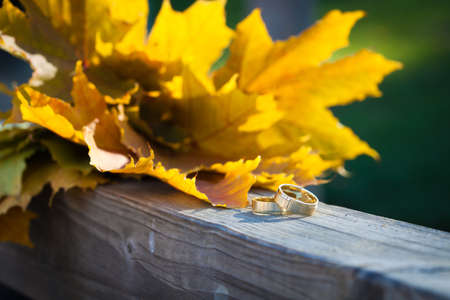 Wedding rings with golden autumn leavesの写真素材