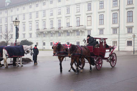 Carriage ridding on the streets of Vienna, Austiaのeditorial素材