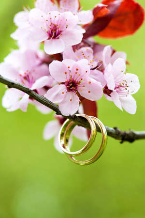 closeup of wedding rings with the pink apple flowerの写真素材
