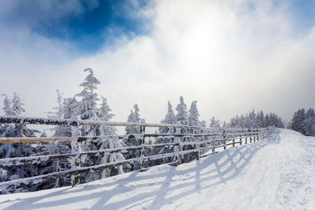 Winter trees and wooden fence covered in snow that borders a mountain road on winter season in Poiana Brasov, Romaniaの写真素材
