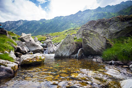 Forest stream surrounded by vegetation running over rocksの写真素材