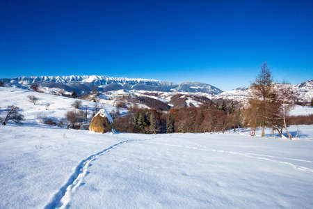 Typical scenic winter view from Bran Castle surroundings