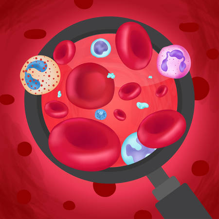 blood cell in the bodyのイラスト素材