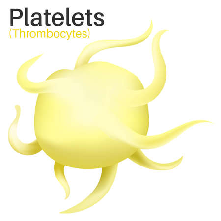 Platelets are tiny blood cells.のイラスト素材