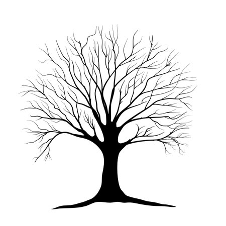 Black Branch Tree or Naked trees silhouettes on white background. Hand drawn isolated illustrations.のイラスト素材
