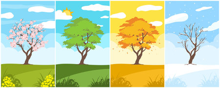 Set trees of four season. Hand drawn isolated illustrations.のイラスト素材