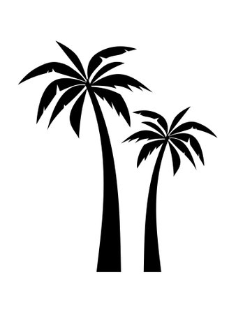 palm trees silhouettes. Hand drawn isolated illustrations.のイラスト素材