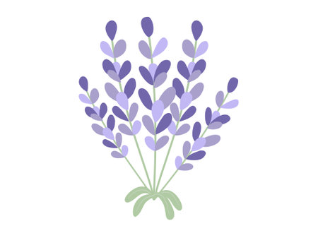 Branches of pastel bluish purple mini flowers on white background. Hand drawn simple illustration style.のイラスト素材