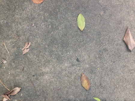 Old concrete floor texture for background.の写真素材