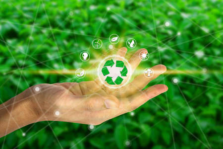 Hand holding with environment icons over the Network connection on nature background, Technology...