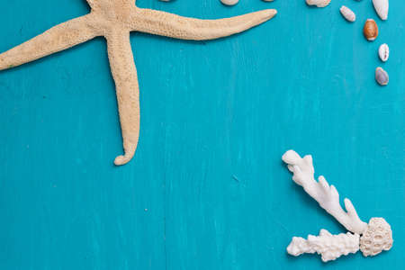 Corals and  pearls  on wooden blue backgroundの写真素材