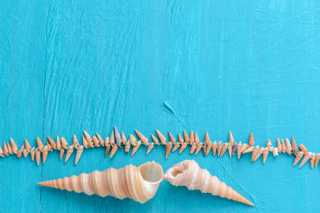 Corals and  pearls  on wooden blue backgroundの写真素材