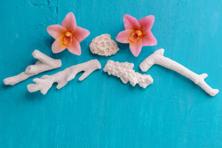 Corals and  pearls  on wooden blue backgroundの写真素材