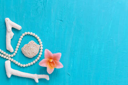 Corals and  pearls  on wooden blue backgroundの写真素材