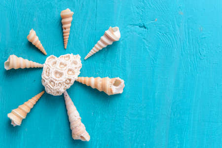 Corals and  pearls  on wooden blue background