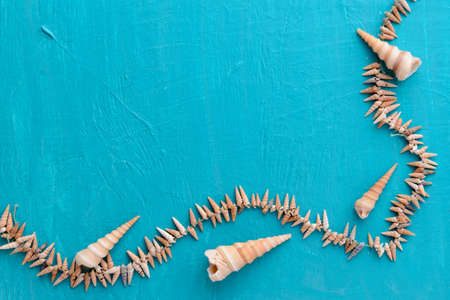 Corals and  pearls  on wooden blue backgroundの写真素材