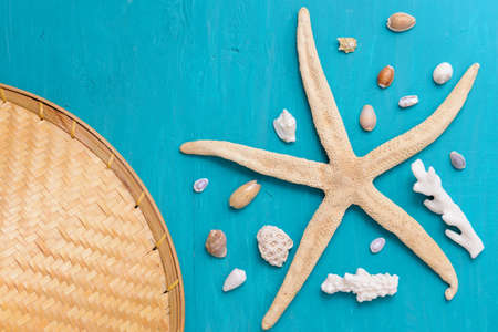 Corals and  pearls  on wooden blue backgroundの写真素材