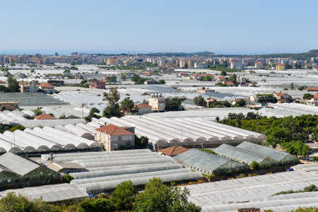 Aerial view of greenhouses in Demre town, Antalya district, Turkeyの写真素材