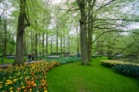 Colorful flowers grow in Keukenhof Garden in the Netherlandsのeditorial素材