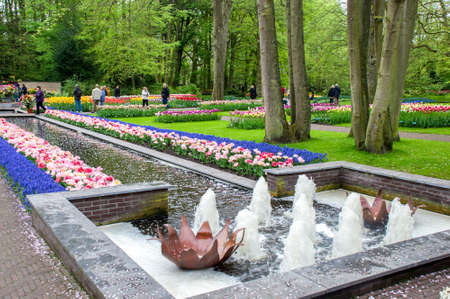 Colorful flowers grow in Keukenhof Garden in the Netherlandsのeditorial素材