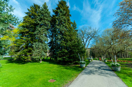 View at park in Niagara Falls town, Ontarion, Canadaの写真素材