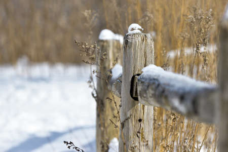 Old wooden fence in a  snow covered in winterの写真素材