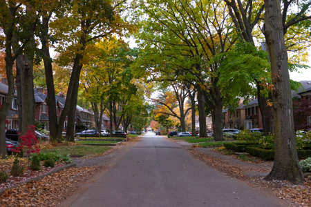 Toronto, ON, Canada - October 25, 2020: Frond side view of a tiny stone house with autumn foliage in the yard.のeditorial素材