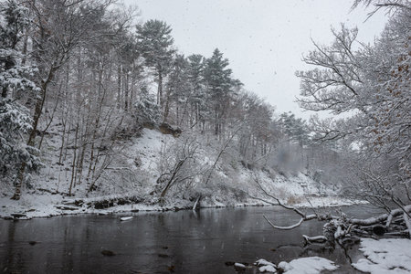 winter landscape with snow covered trees on the shore of a mountain riverの写真素材