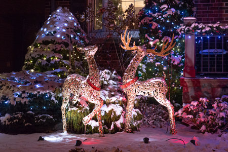 View the house decorated with lights for Christmasの写真素材