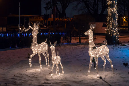 Toronto, Ontario, Canada - December 23, 2022: View the house decorated with lights for Christmasの写真素材