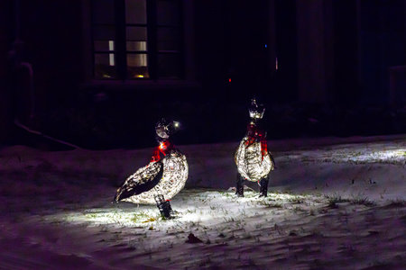 Toronto, Ontario, Canada - December 23, 2022: View the house decorated with lights for Christmasの写真素材