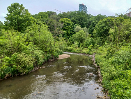 View at the small Creek at rainy dayの写真素材