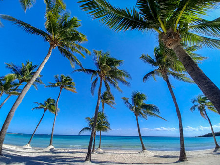 Quintana Roo, Mexico - November 20, 2024: View at the beach in Playa del Car district in Playa del Carmen, Mexicoの写真素材